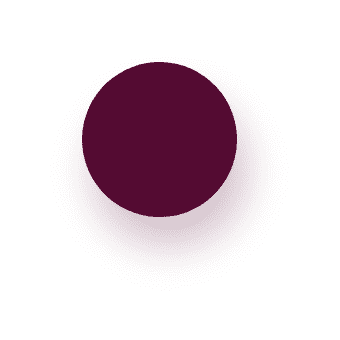 Ellipse-11
